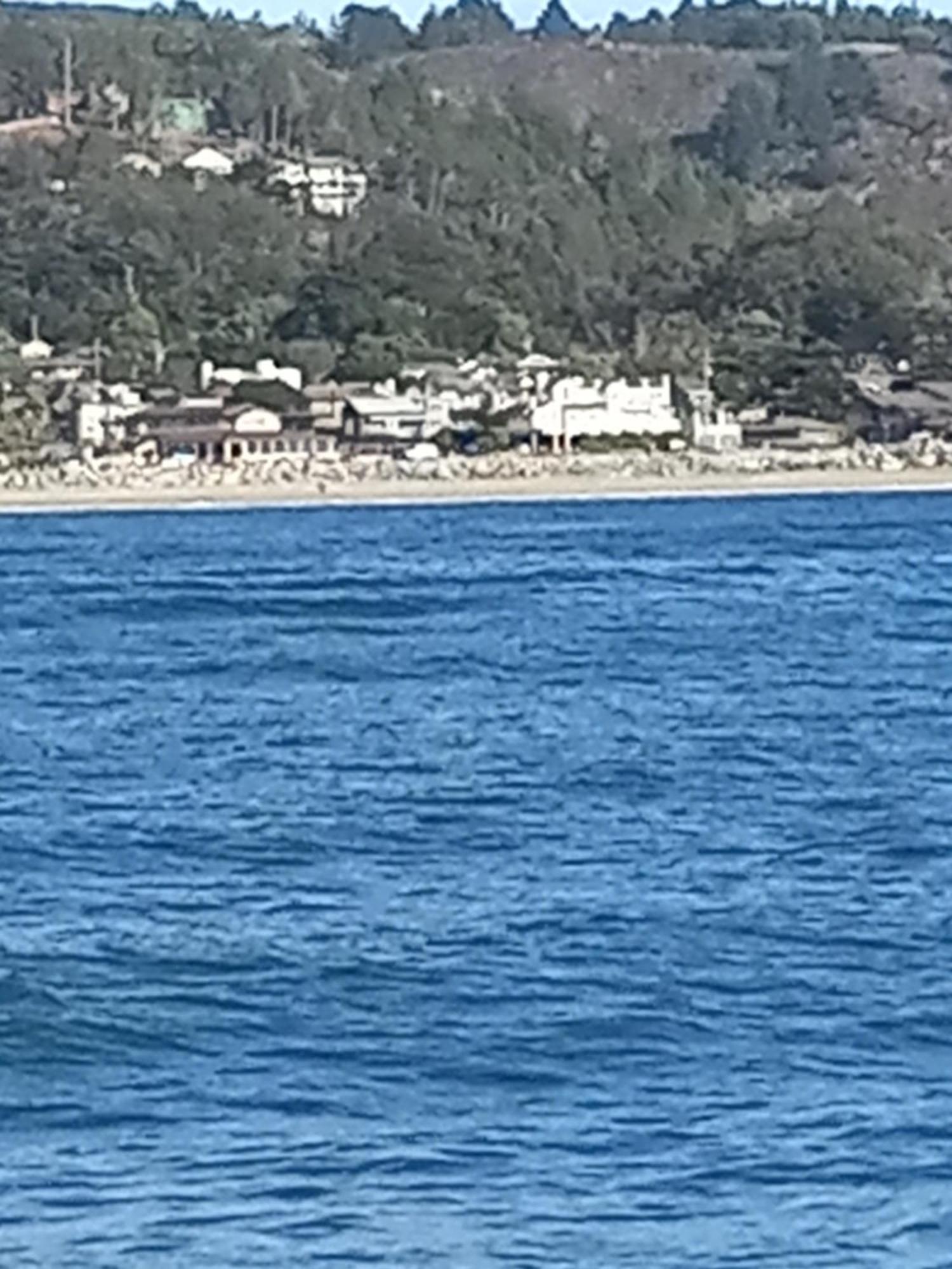The Oceanfront Stay On Miramarbeach Hmb El Granada المظهر الخارجي الصورة